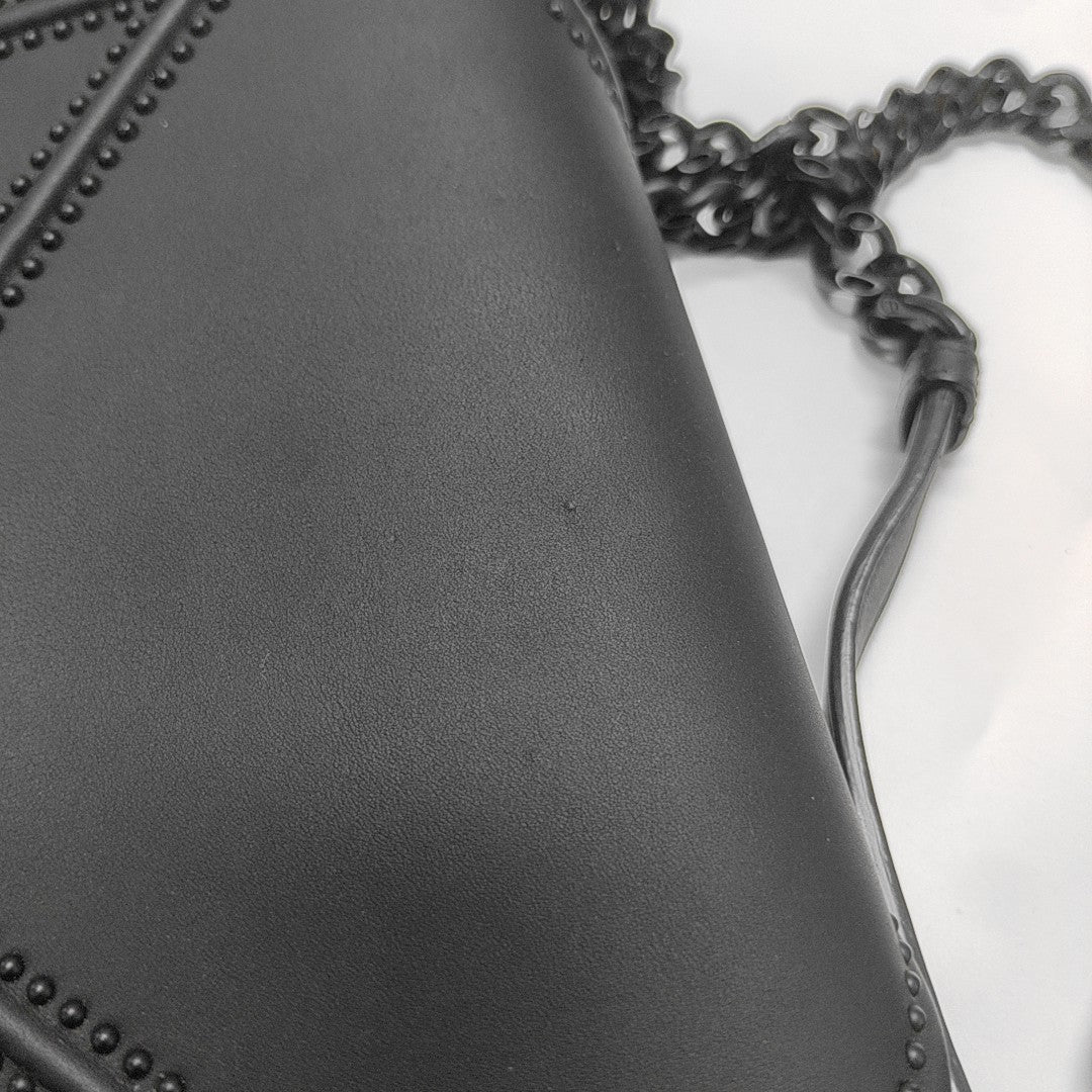 Diorama Medium Calfskin Black