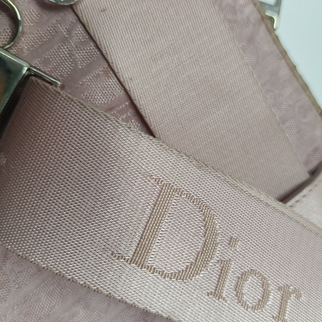 Oblique Canvas Belt Bag Pink