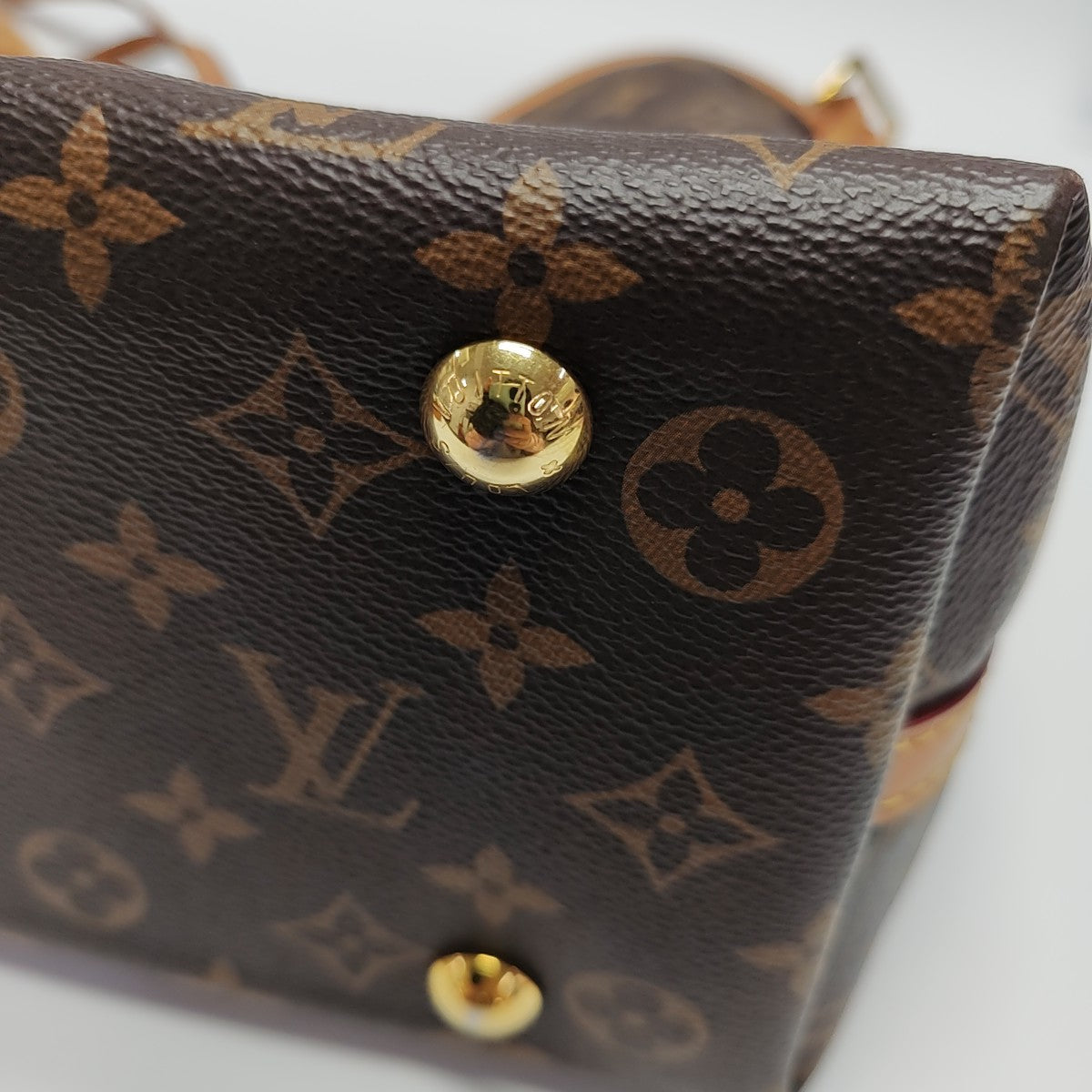 CARRYALL PM Monogram Coated Canvas Brown