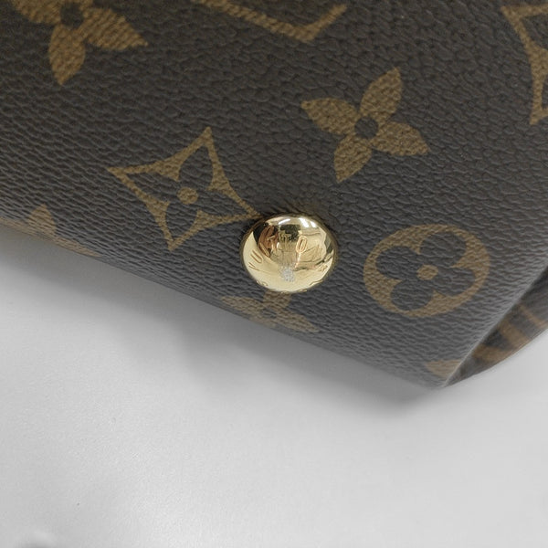 CARRYALL PM Monogram Coated Canvas Brown