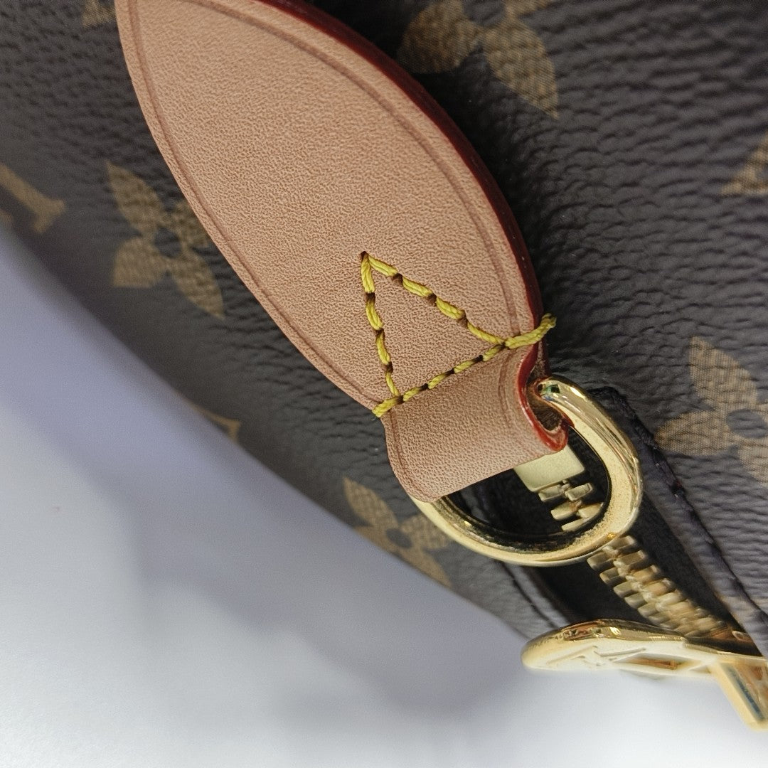 SPEEDY 20 Monogram Coated Canvas Brown
