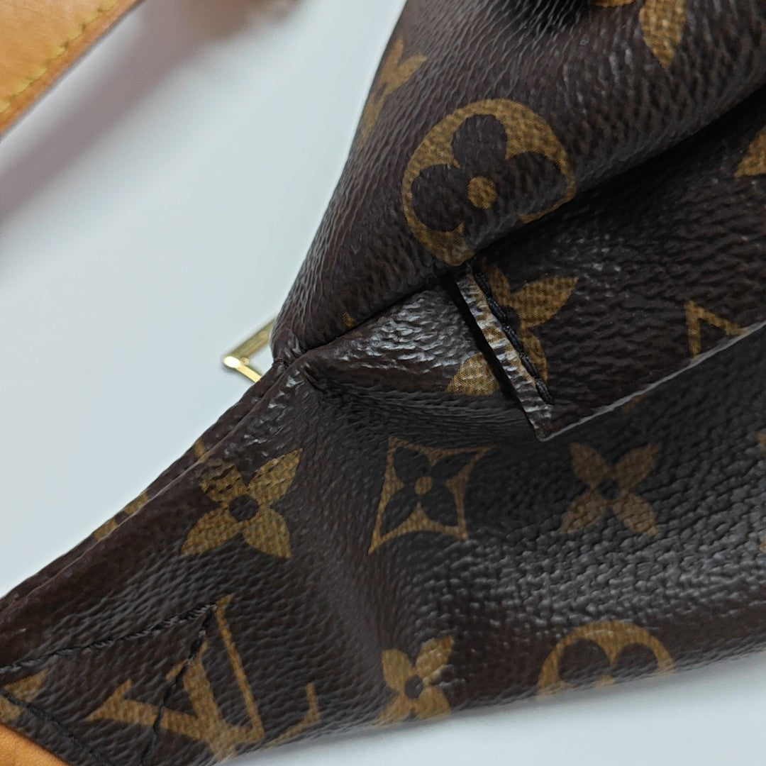 BUMBAG Monogram Coated Canvas Brown