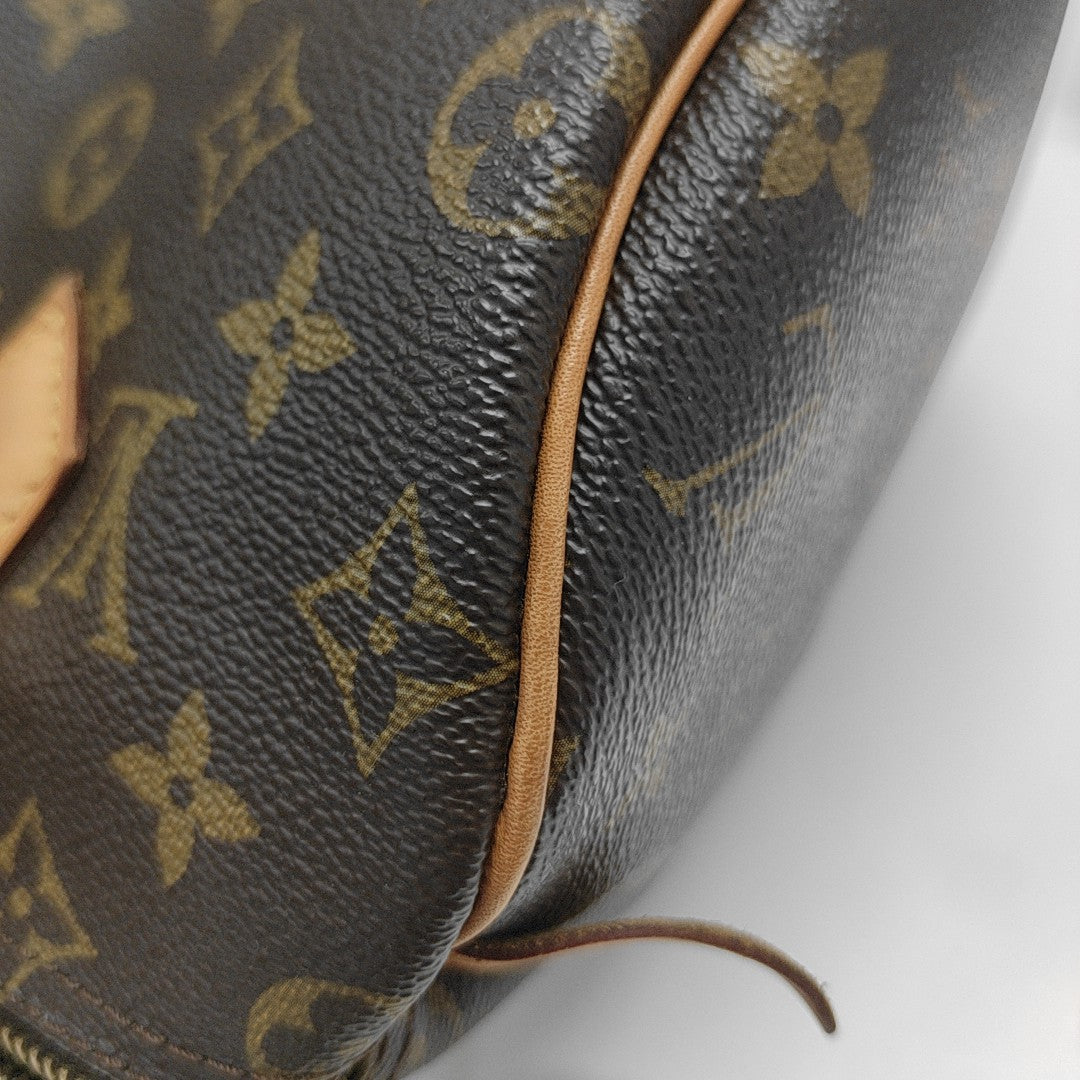 SPEEDY 25 Monogram Coated Canvas Brown