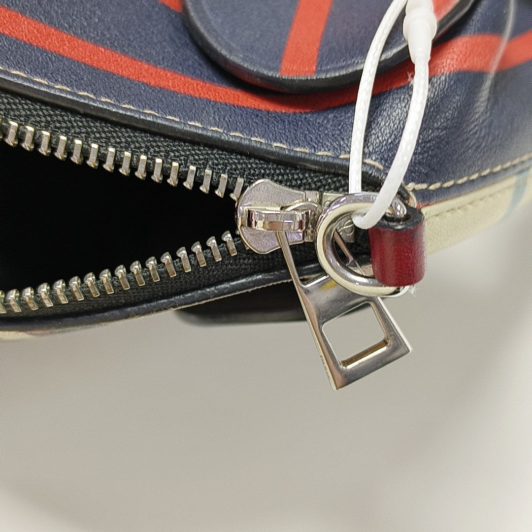 Animals Calfskin Multicolor