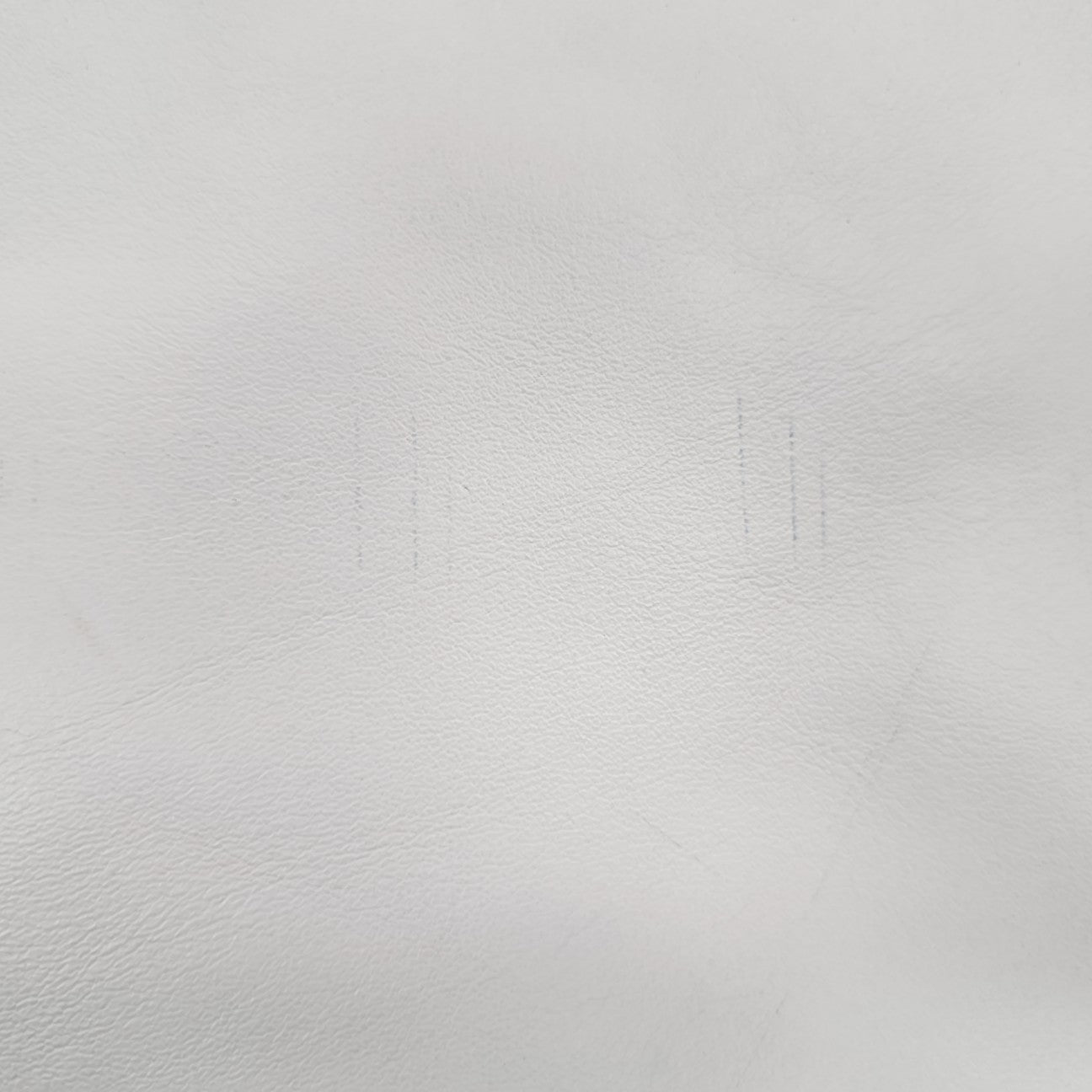 IVY Calfskin White