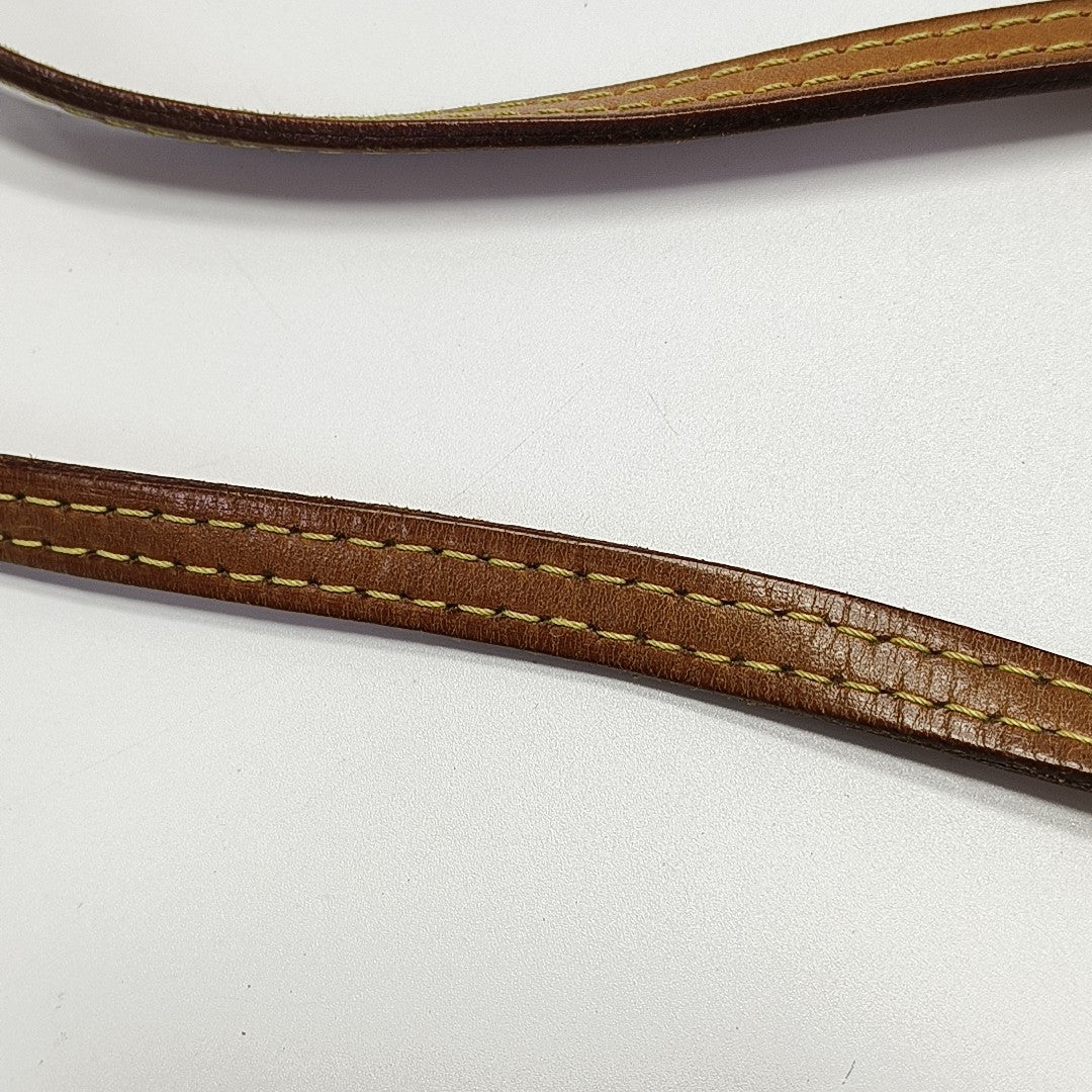SPEEDY Nano Monogram Coated Canvas Brown