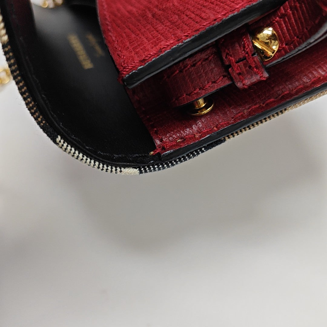 Buckle Calfskin Multicolor