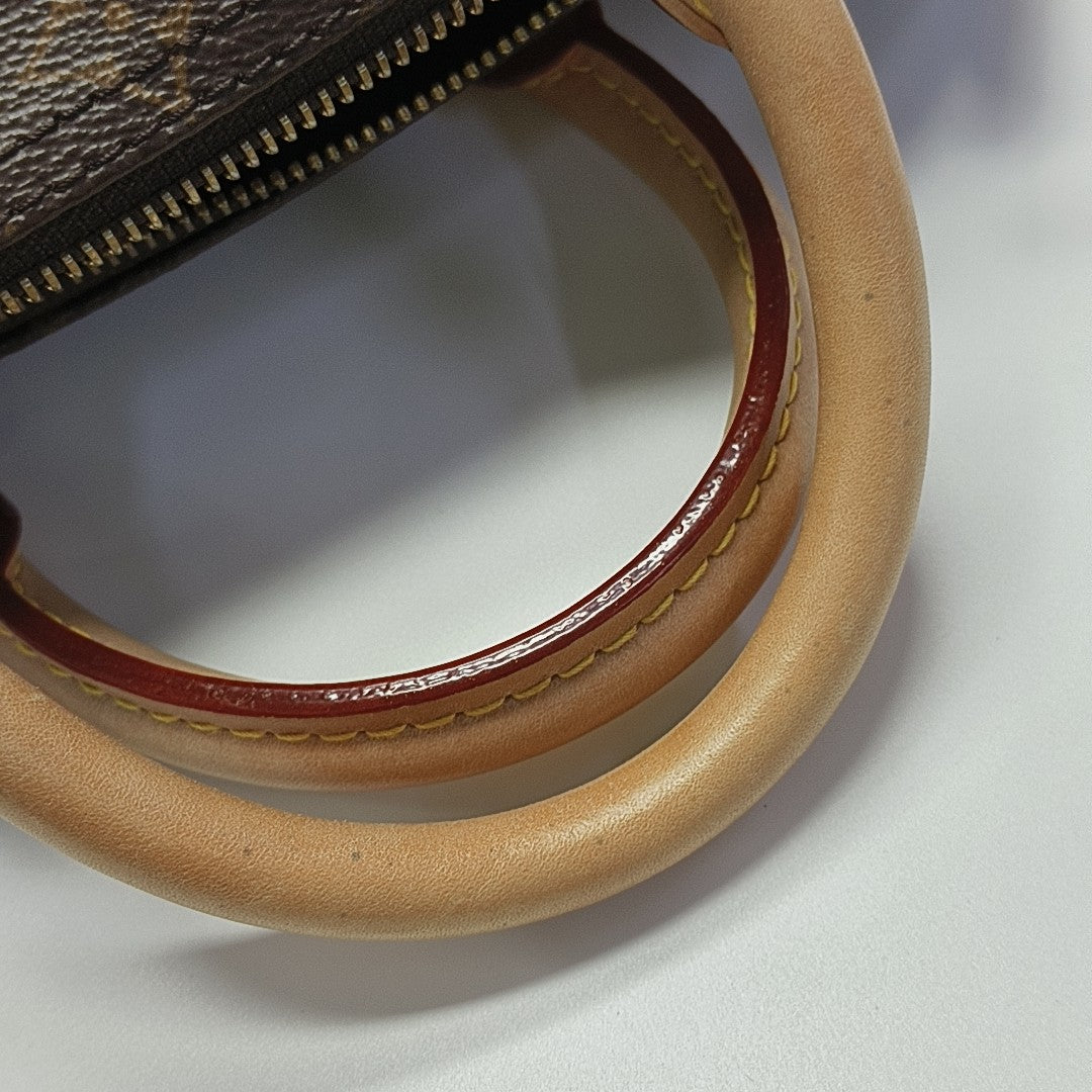 SPEEDY 25 Monogram Coated Canvas Brown