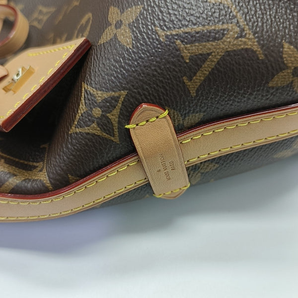CARRYALL PM Monogram Coated Canvas Brown
