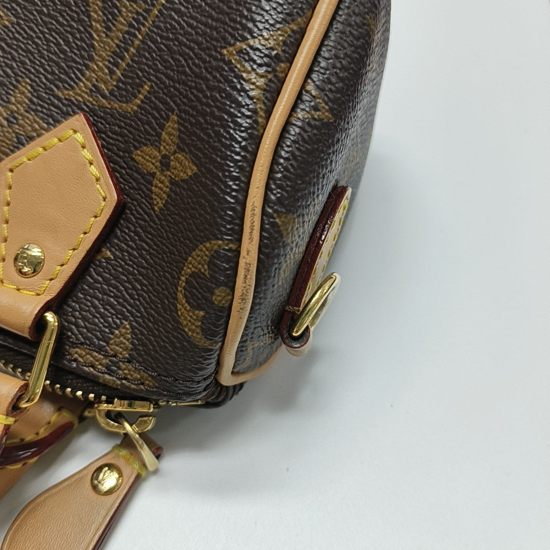 SPEEDY Nano Monogram Coated Canvas Brown