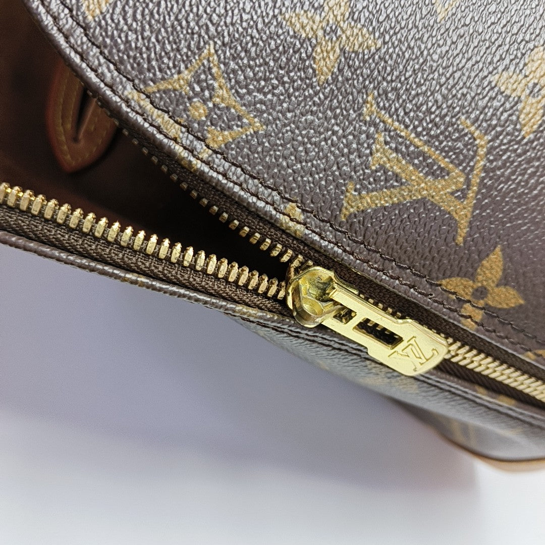 ALMA PM Monogram Coated Canvas Brown