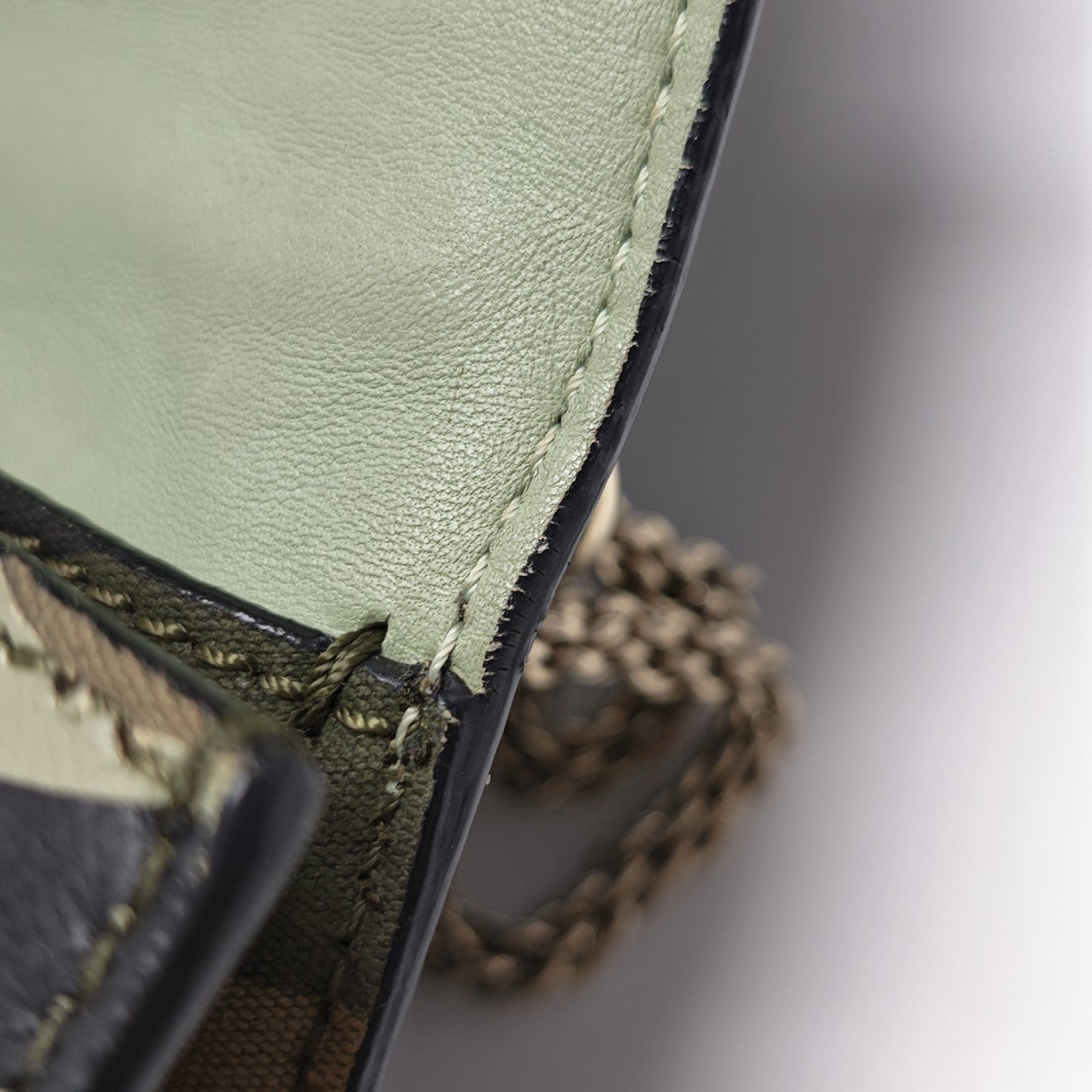 Glam Medium Calfskin Multicolor