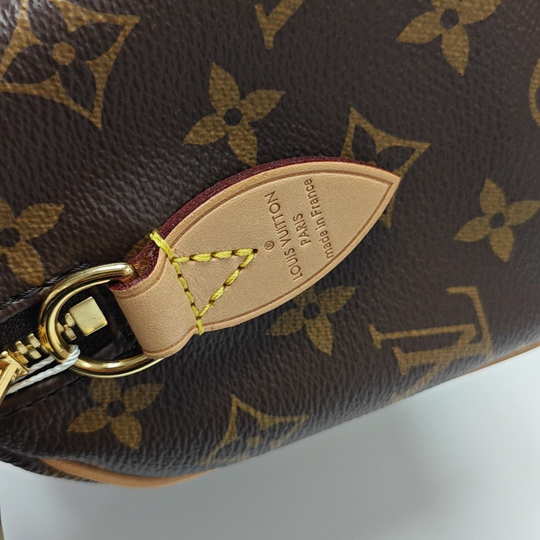 SPEEDY 20 Monogram Coated Canvas Brown