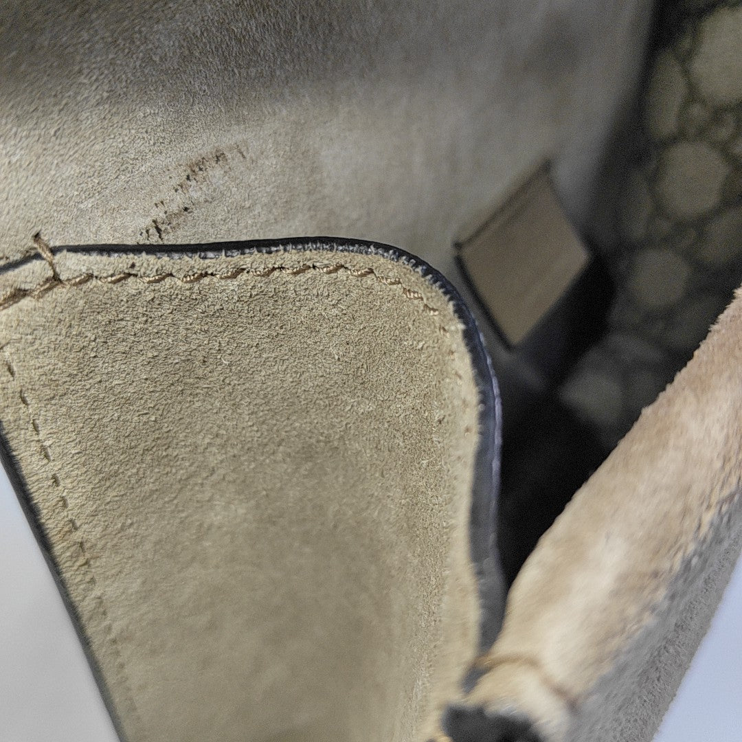 Dionysus Mini Monogram Coated Canvas Beige