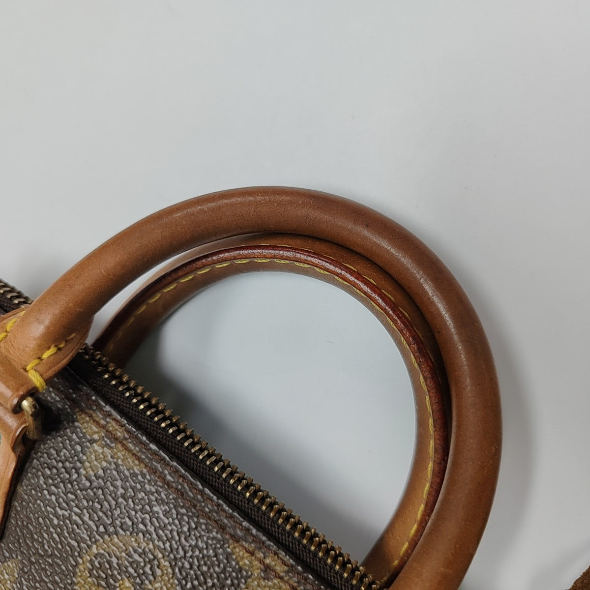 SPEEDY Nano Monogram Coated Canvas Brown