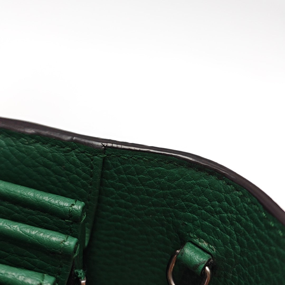 Dionysus Mini Calfskin Green