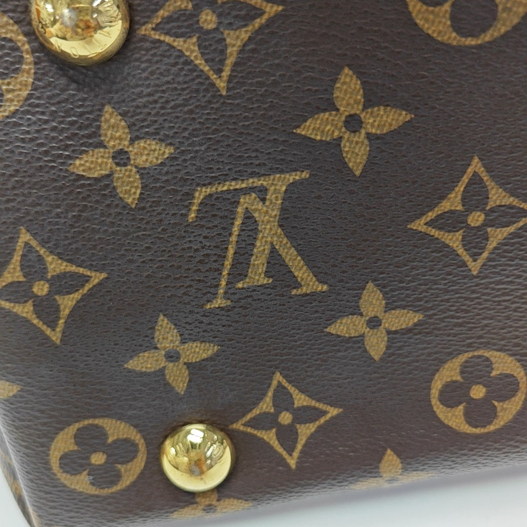 CARRYALL PM Monogram Coated Canvas Brown