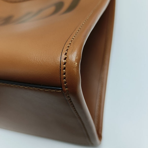 Sunshine Medium Calfskin Brown