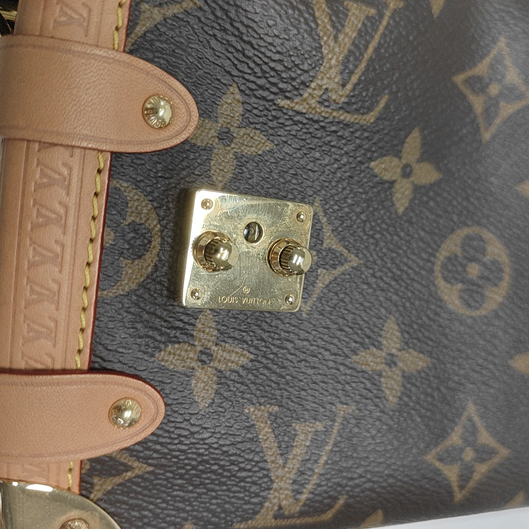 SIDE TRUNK PM Monogram Coated Canvas Brown