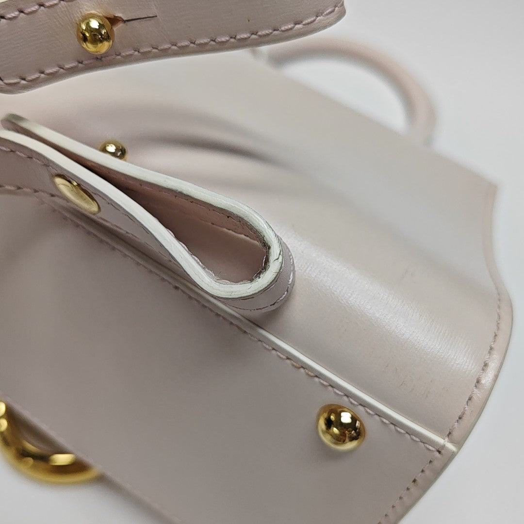 Brillant Mini Calfskin Pink