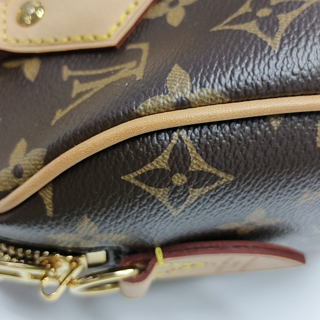 SPEEDY 20 Monogram Coated Canvas Brown