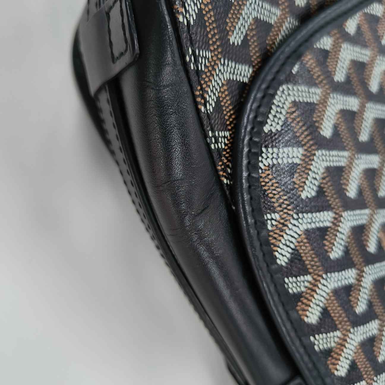 Belvedere Coated Canvas Black