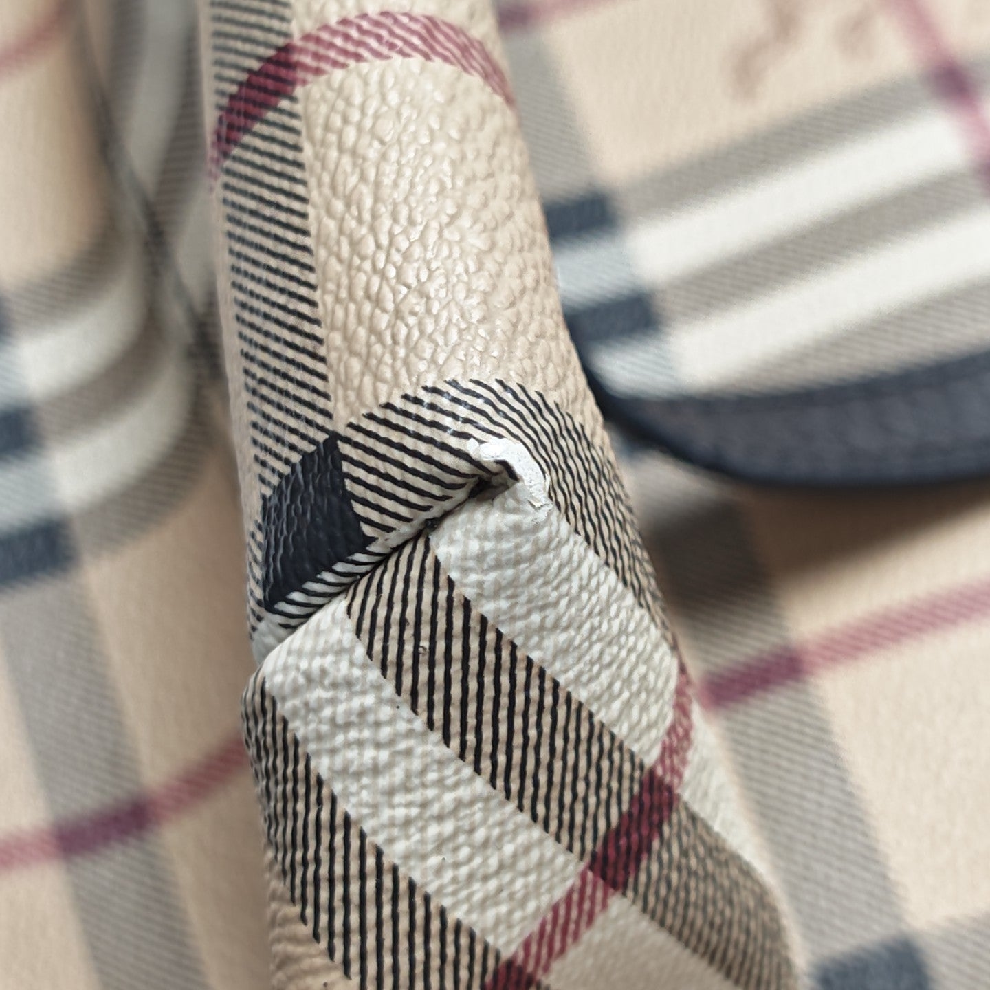 Salisbury Coated Canvas Beige