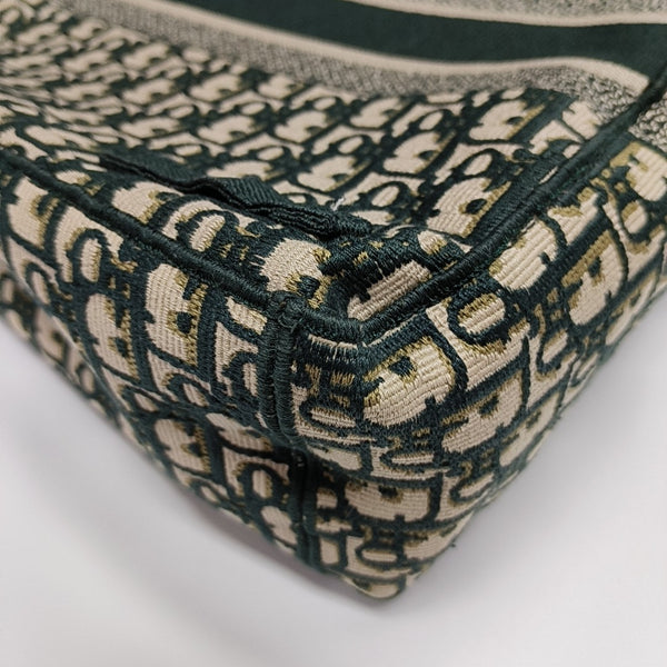 Diorcamp Large Canvas Green
