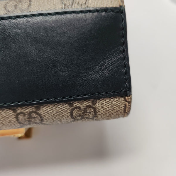 Padlock Small Monogram Coated Canvas Multicolor