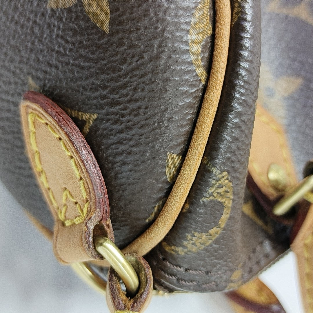 SPEEDY Nano Monogram Coated Canvas Brown