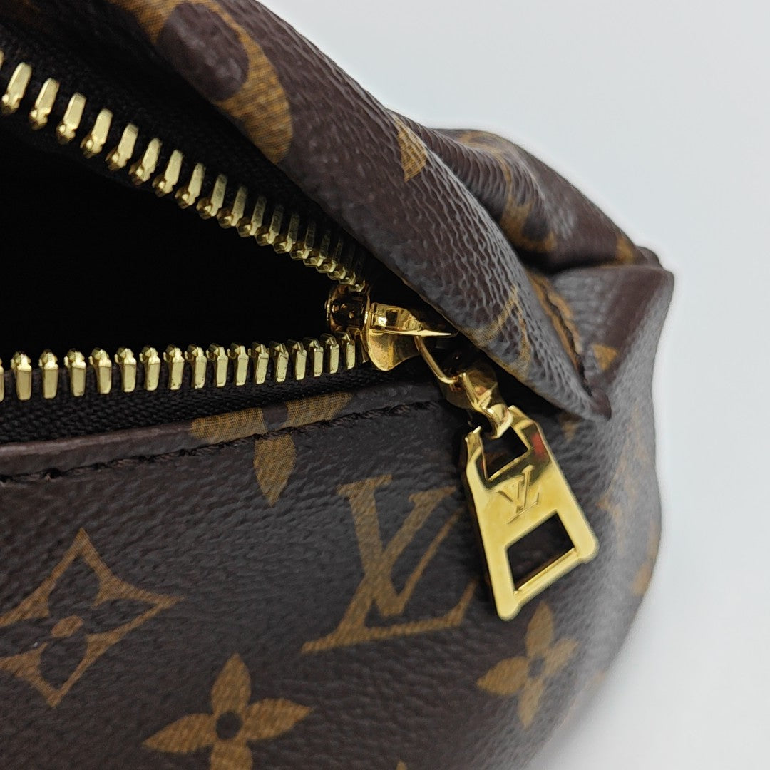 BUMBAG Monogram Coated Canvas Brown