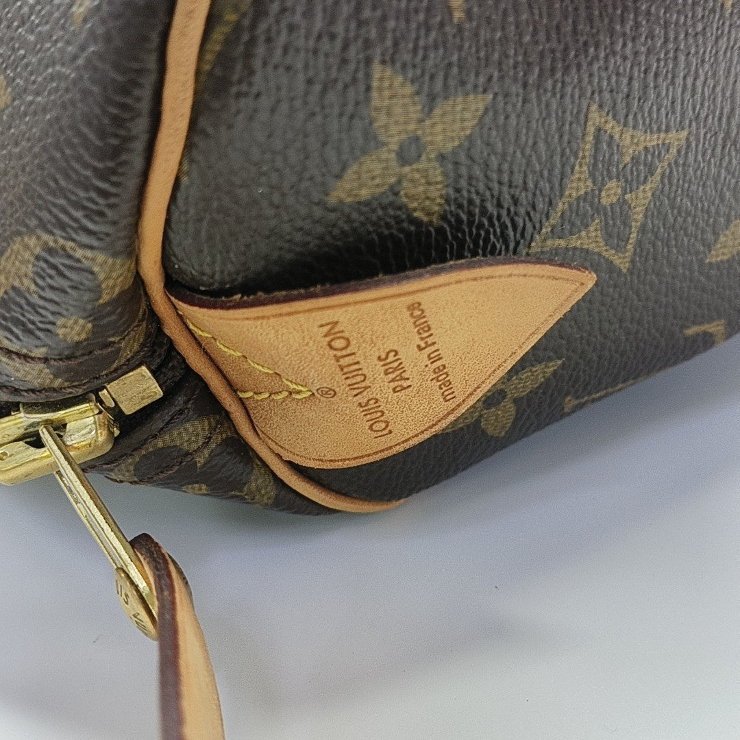 SPEEDY 25 Monogram Coated Canvas Brown