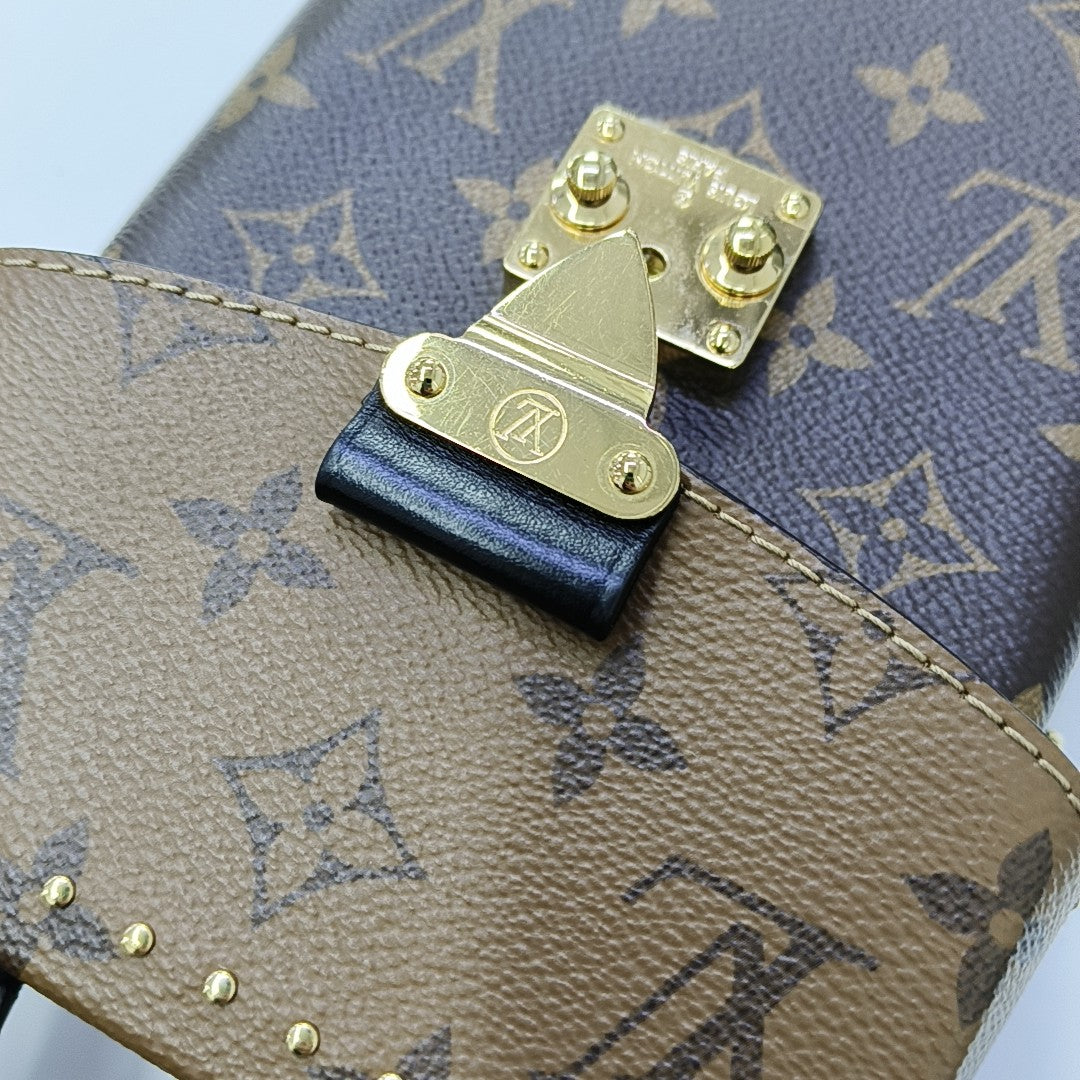 CAMERA BOX Monogram Coated Canvas Brown