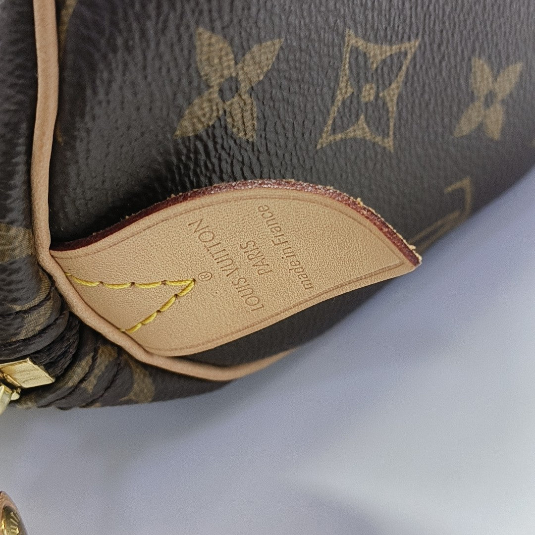 SPEEDY 25 Monogram Coated Canvas Brown