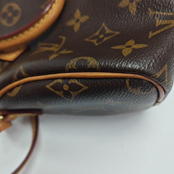 SPEEDY Nano Monogram Coated Canvas Brown