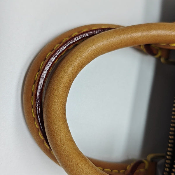 SPEEDY Nano Monogram Coated Canvas Brown