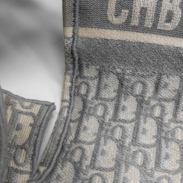 Diorcamp Large Oblique Canvas Gray