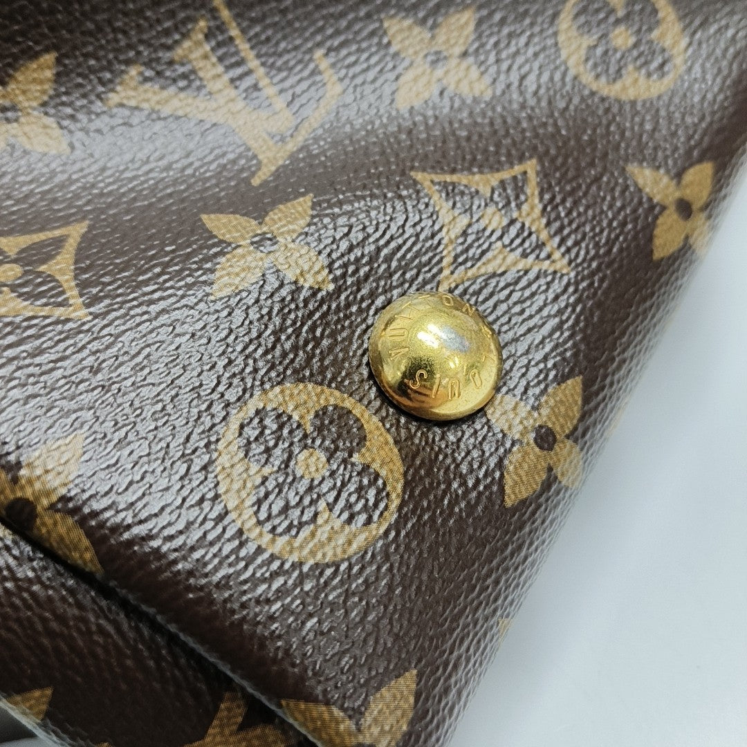 CARRYALL PM Monogram Coated Canvas Brown