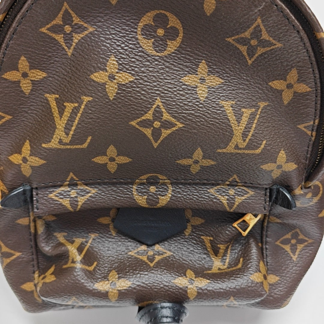 PALM SPRINGS Mini Monogram Coated Canvas Brown