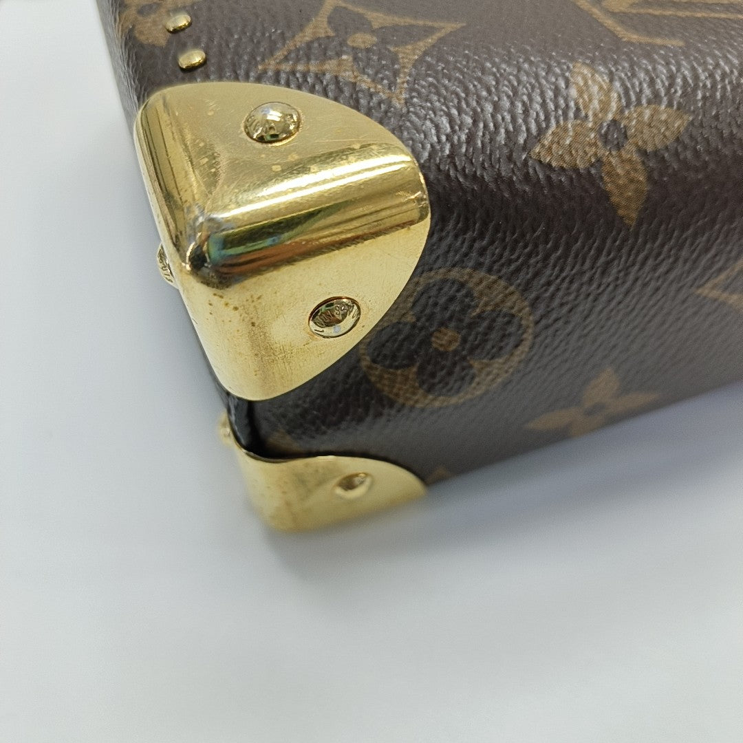 CAMERA BOX Monogram Coated Canvas Brown