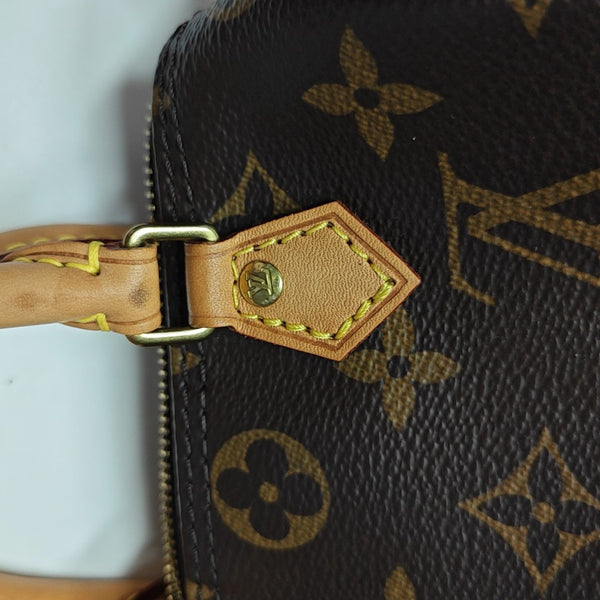 SPEEDY Nano Monogram Coated Canvas Brown