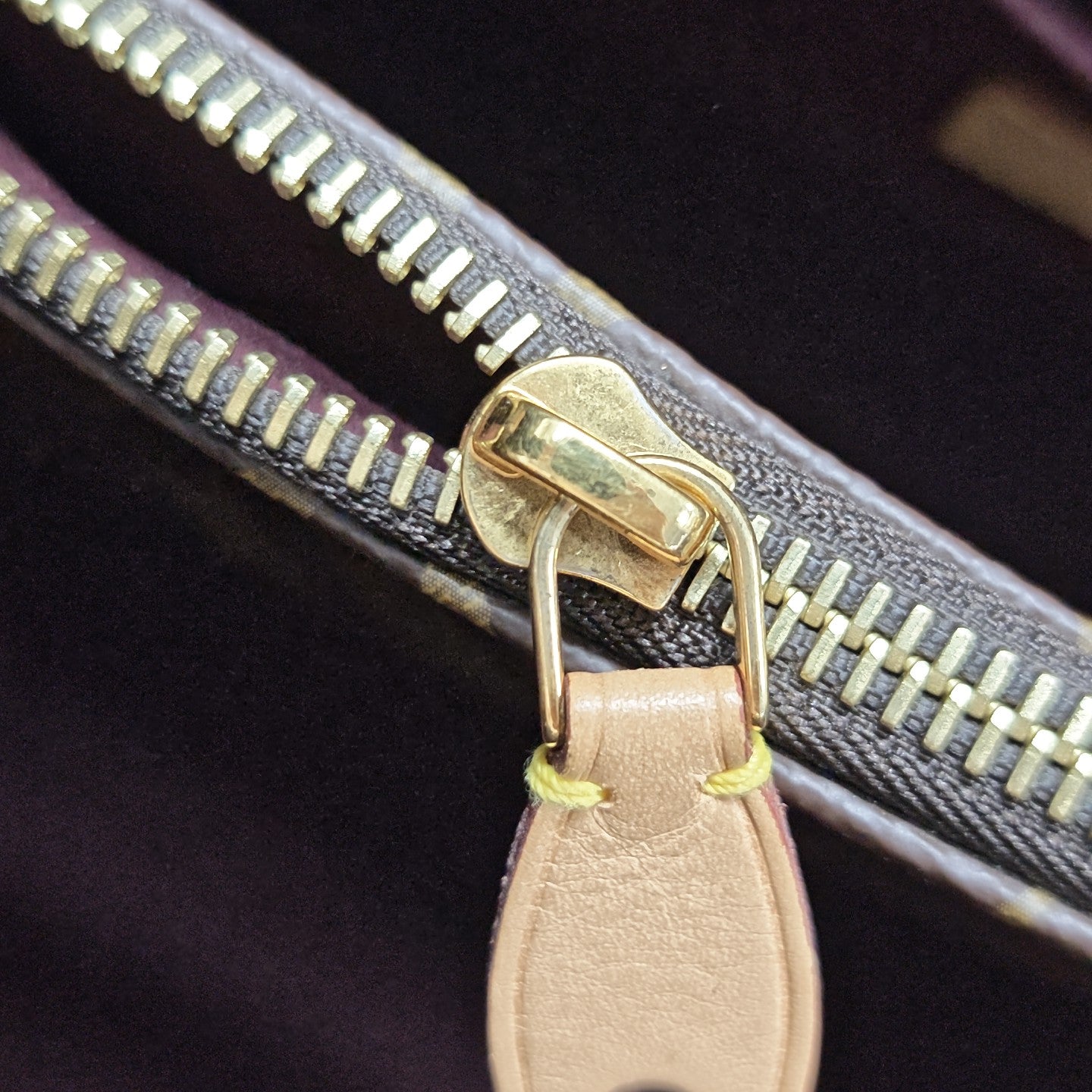 MONTAIGNE Monogram Coated Canvas Brown
