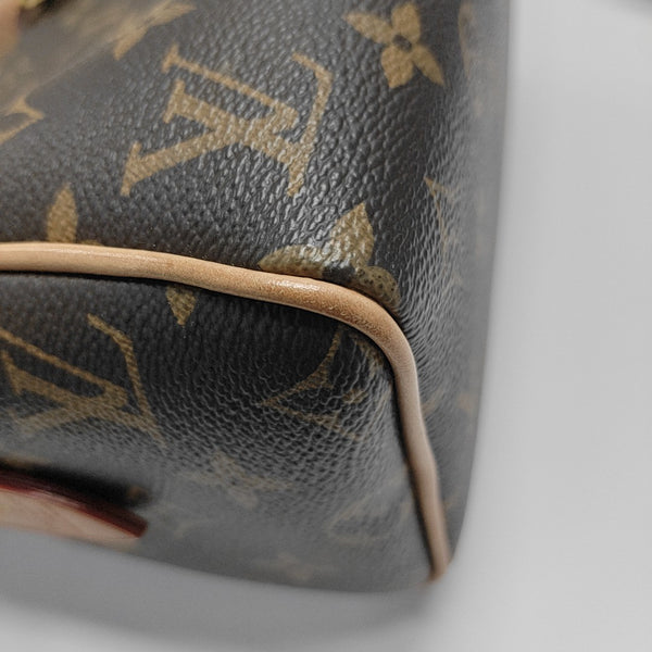 SPEEDY 20 Monogram Coated Canvas Brown