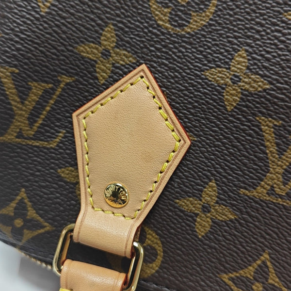 SPEEDY 20 Monogram Coated Canvas Brown