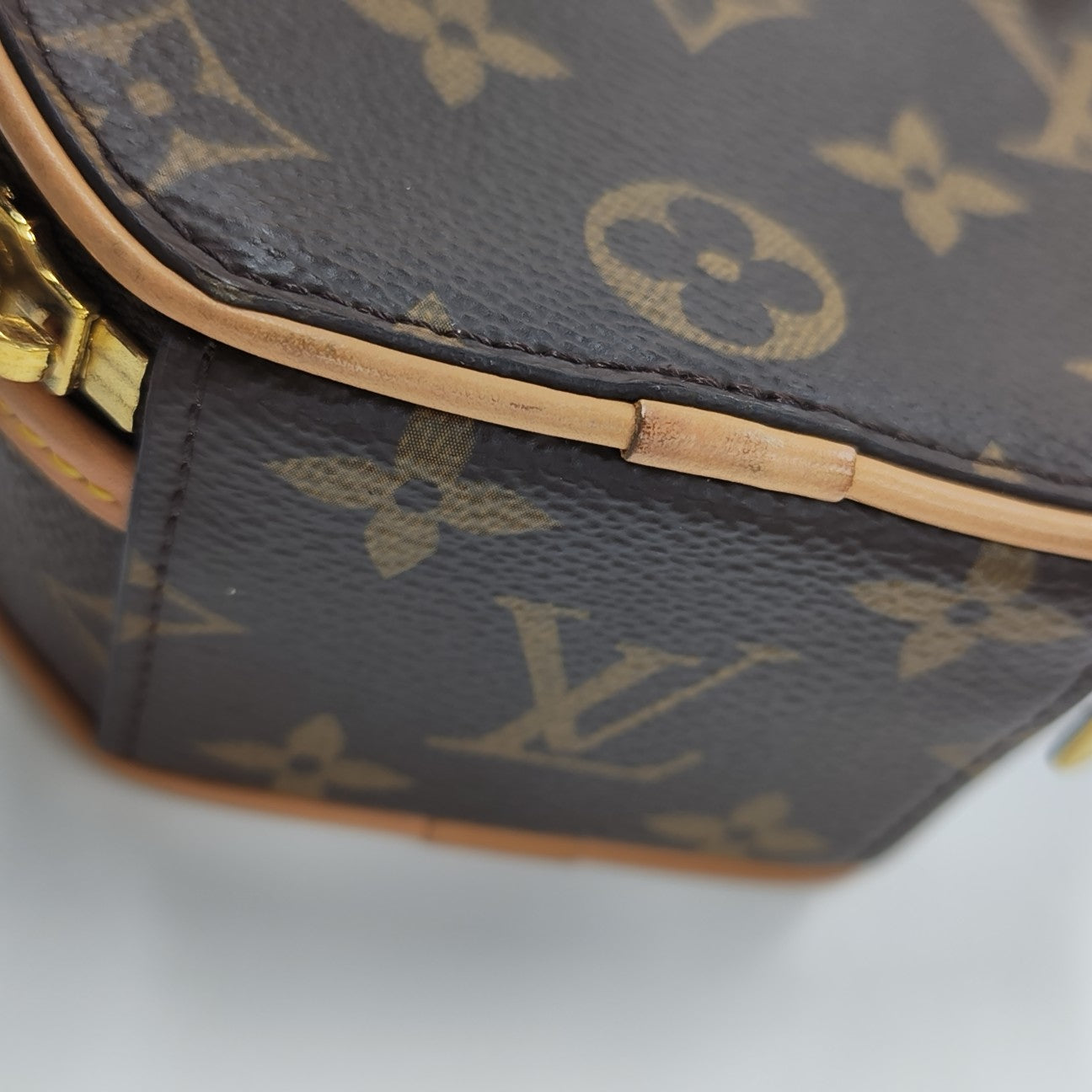 BOITE CHAPEAU Mini Monogram Coated Canvas Brown