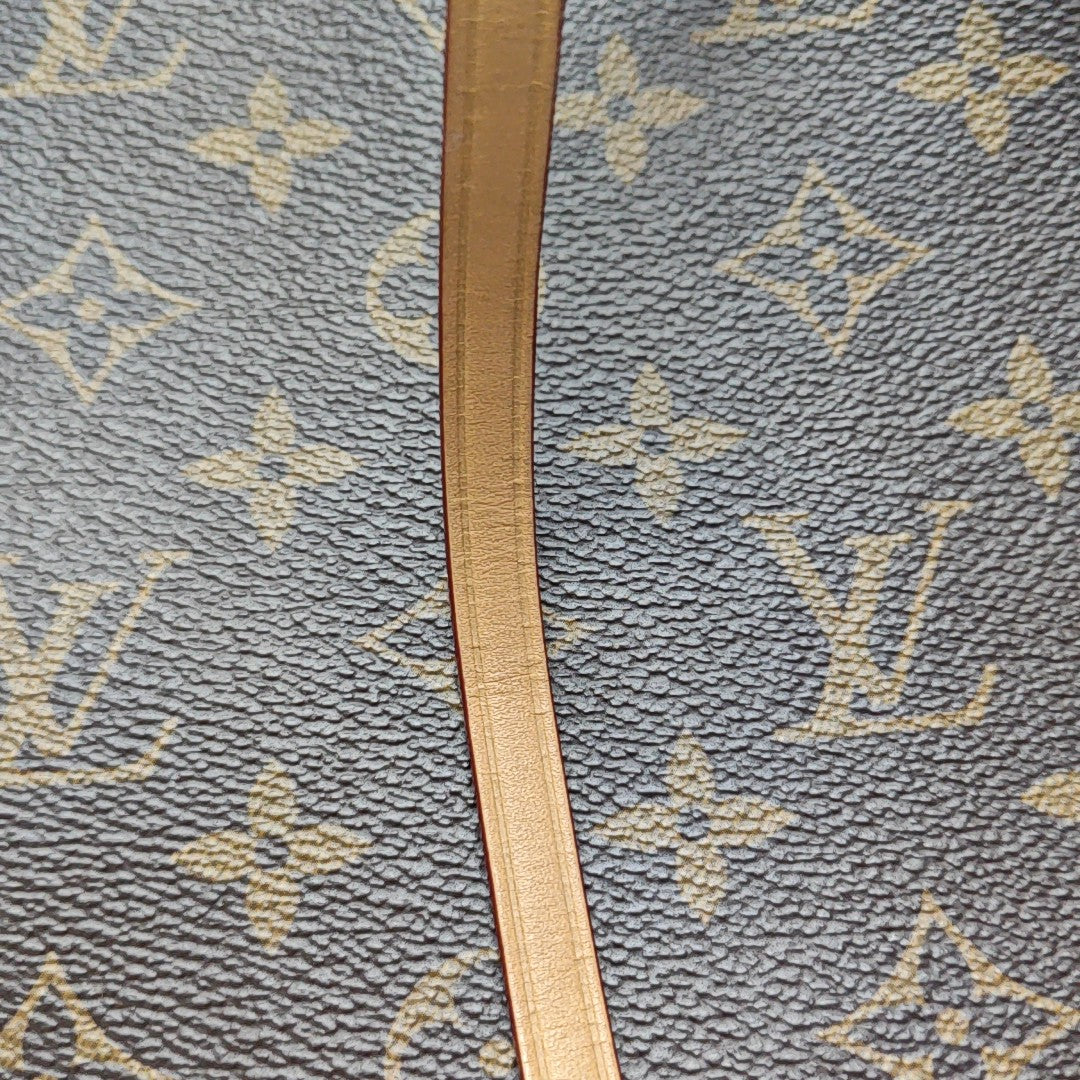CARRYALL PM Monogram Coated Canvas Brown