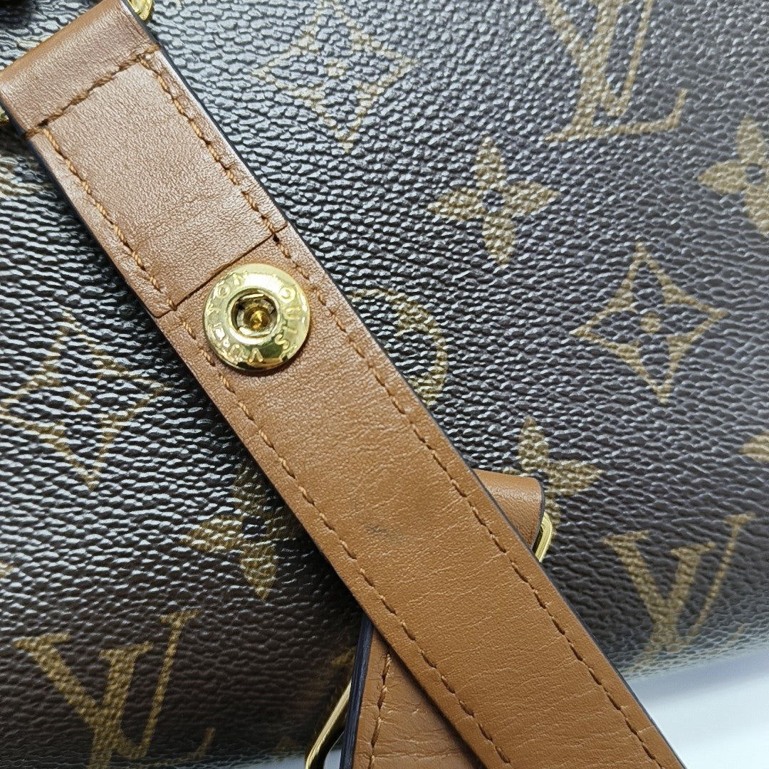 DAUPHINE Mini Monogram Coated Canvas Brown
