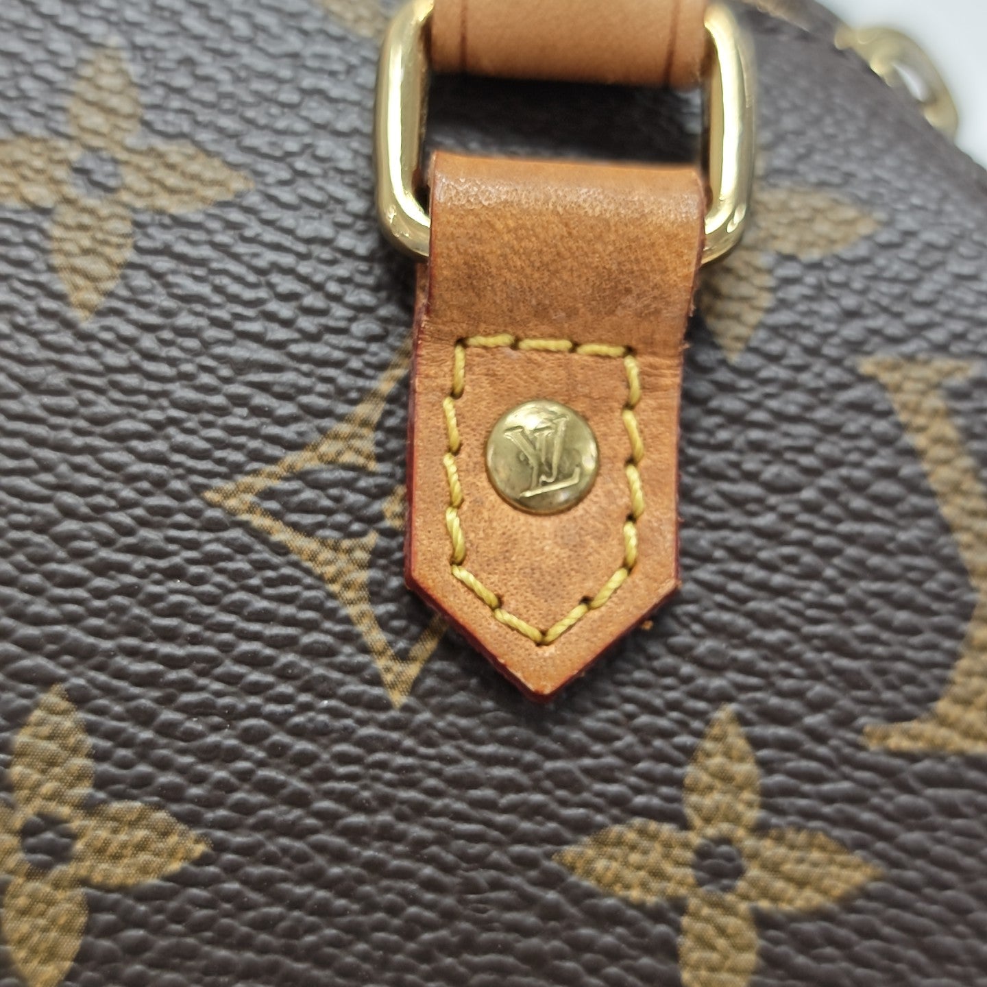 RIBERA Monogram Coated Canvas Brown