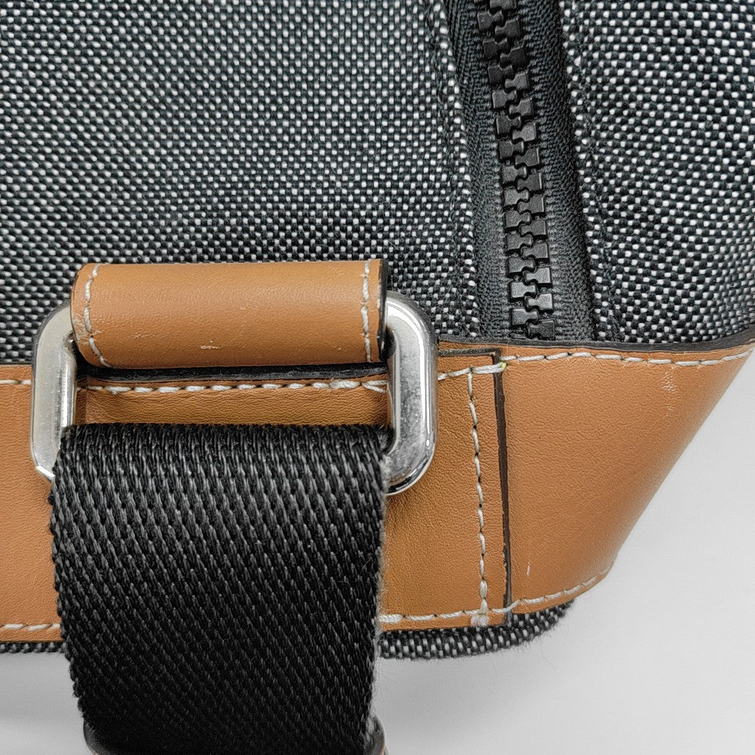 Eye/loewe/nature Canvas Gray