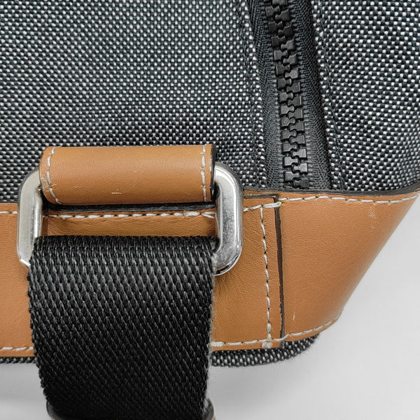 Eye/loewe/nature Canvas Gray